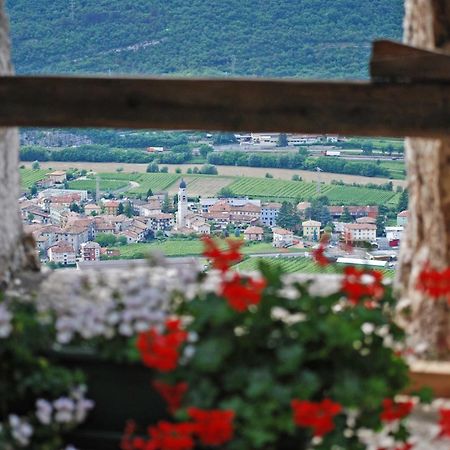 Agriturismo Salizzoni Villa Calliano  Dış mekan fotoğraf